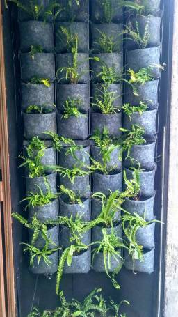 Small DIY vertical farming solution Small DIY vertical farming solution